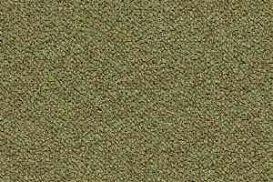 Ковровая плитка Forbo Tessera Chroma 3613 Pasture фото  | FLOORDEALER